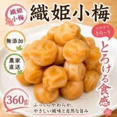 【無添加】白干し梅干し360g 群馬県産 小梅 昔ながら塩だけ農家直送　塩分補給のサムネイル