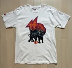 ニューエラ NEWERA ポケモン リザードン tシャツ 半袖 ポケモン 
