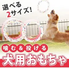 Item thumbnail for item fc965c50-583f-4ecb-84a3-2a21e9722ac4