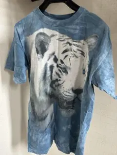 Item thumbnail for item 052f7243-8f44-48d0-a35c-82908d394dbd