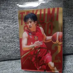 2025年最新】名古屋ダイヤモンドドルフィンズ サインの人気