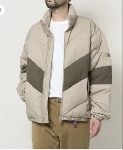 希少THE NORTH FACE PURPLE LABEL ダウンジャケット