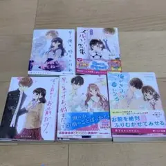 2冊セット 野いちご文庫 角川ビーンズ文庫 小説 ケータイ小説 恋愛小説
