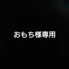 おもち様専用ページ