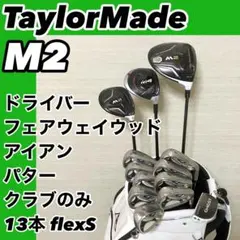 テーラーメイド オールM2 10本セット レディースゴルフ 初心者 入門