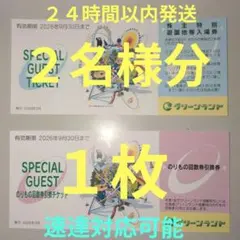 最新【９月】三井グリーンランド株主優待券入場券２枚と乗り物券２０枚の引換券１枚Ｒのサムネイル