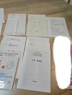 Item thumbnail for item ffc90586-c95c-4a53-8763-7a04f063c0a7