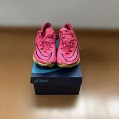 NIKE マックスフライ1 27cm