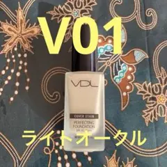 VDL カバーステインパーフェクティングファンデーション V01 ライトオークル