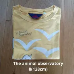 The Animals Observatory Tシャツ イエロー 128cm