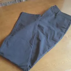 バナナリパブリック スラックス