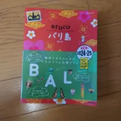 aruco バリ島