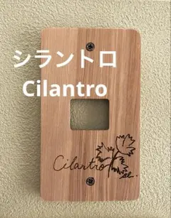 Item thumbnail for item e54542c2-5f8c-495f-899f-fca231747807