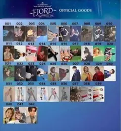 2026年最新】FJORDフォトカードの人気アイテム - メルカリ