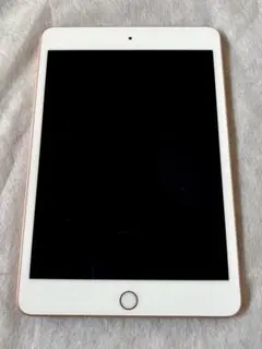 maybさん専用　超美品iPad Mini 第5世代本体+ケイブル＋充電器＋箱付 iPad mini 第5世代 256GB ゴールド MUU62J／A Wi-Fi [256GB] Apple