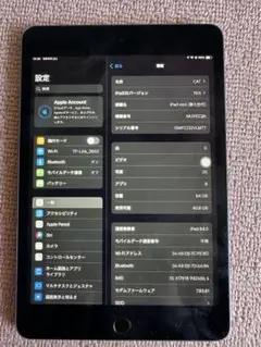 Apple iPad mini (第5世代) 64GB ブラック
