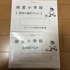 ジャック　暁星クラス　年長勉強　夏休み宿題プリント　小学校受験　はやぶさ ジャック 暁星小学校 復習プリントセット - メルカリ