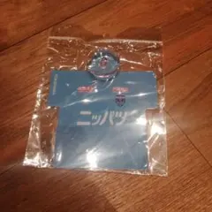 新品 未開封 横浜FC シーガルズ カーサイン