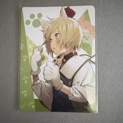 カラマリ　オトガ　ランチョン　白石 オトメイトガーデン オトガ カラーマリス カラマリ ランチョン 白石 景