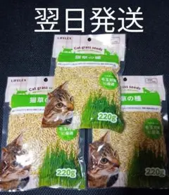 Item thumbnail for item 21a437c0-20e4-4c7b-80dc-3d82929e51fd