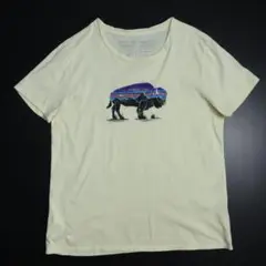 00s パタゴニア Patagonia バッファロー プリントTシャツ バイソン