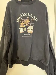 Novel Core Brainland sweat shirt over