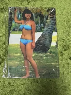 昭和アイドル　80年代　ビキニ水着　スチール　メタルサイン