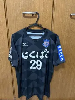 ヴァンフォーレ甲府 ユニフォーム 29番のサムネイル