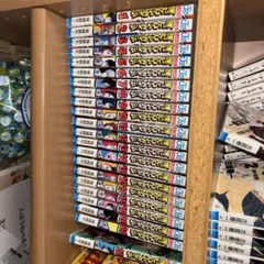 僕のヒーローアカデミア　1巻から22巻