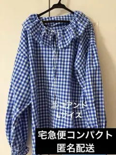 リネンブレンドフリルブラウス ギンガムチェック ニコアンド ブルーLサイズのサムネイル