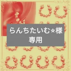 らんちたいむ⭐︎プロフィール必読で様専用（タイガーアイ2つ）