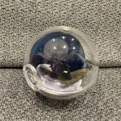 ポケモン テラリウムコレクション アーマーガア