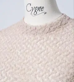 【美品】cygne チュール ワンピース didier シーニュ チュールワンピース Didier | Cygne