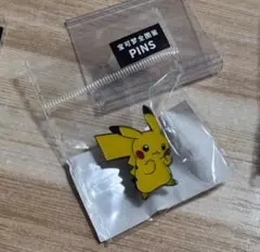 ミュウ ピンバッジ ポケパーク カントー 限定 ポケモン - メルカリ