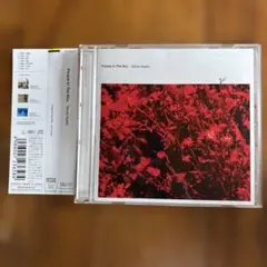 【帯付き】People In The Box Ghost Apple CD