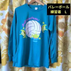 Mizuno バレーボール 長袖 L 【リトルグリーンメン】