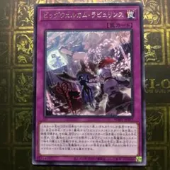 ビッグウェルカムラビュリンス