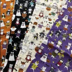 50×50×4色　ハロウィン　生地　ねこ　No.311ネコ ハロウィーンパーティ