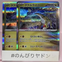 タケルライコ　らくらいあらし　2枚　pch706