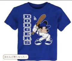 Batisbunta様 リクエスト 2点 まとめ商品