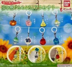 彩り変わった 涼を感じる めじるしアクセサリー ガチャ コンプリート