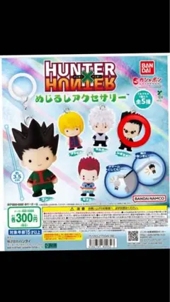 HUNTER HUNTER めじるしアクセサリー レオリオ