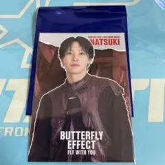 堀夏喜　フォトカード　フォトカ　シクレ