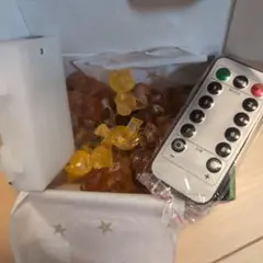 クマ　リモコン付き　LEDライト