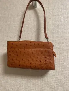 レディース　バッグ　オーストリッチ