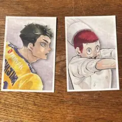 ハイキュー　牛島若利　天童覚　カードセット