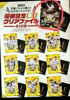 阪神タイガース 優勝記念 限定クリアファイル 藤川球児 胴上げ