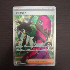 シュウメイ SR SV8a テラスタルフェスex 191/187