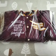 Item thumbnail for item 60fba820-f047-4671-ac0b-72ba1c1ba326