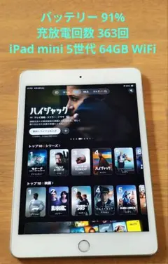 バッテリー91%【iPad mini 5世代 64GB WiFi】充放電363回